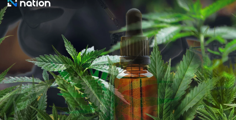 Inggris Waspadai Warganya Banyak Bawa Ganja dari Thailand